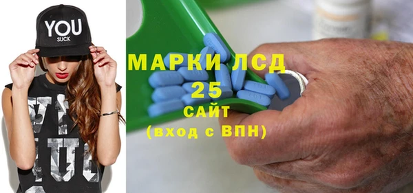 стаф Алзамай