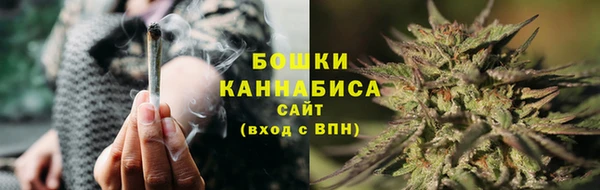 PSILOCYBIN Алексин