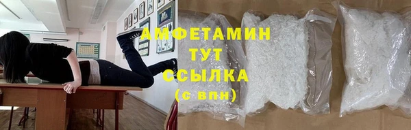 стаф Алзамай