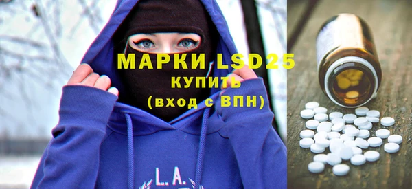 стаф Алзамай
