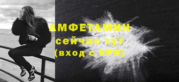 стаф Алзамай